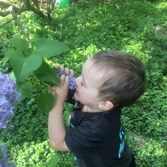 Meet your Posher, Teri - Picture 5 of 7